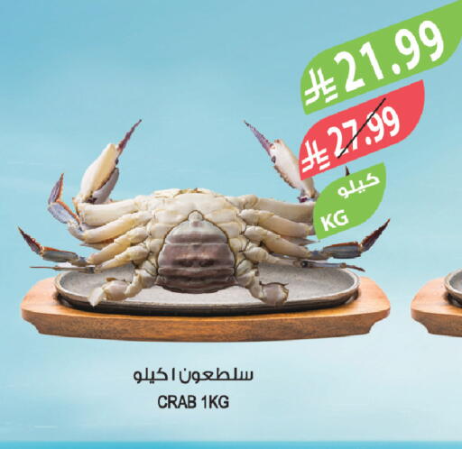 available at المزرعة in مملكة العربية السعودية, السعودية, سعودية - الباحة