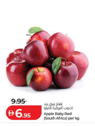 Apple from South Africa available at لولو هايبرماركت in الإمارات العربية المتحدة , الامارات - ٱلْعَيْن‎