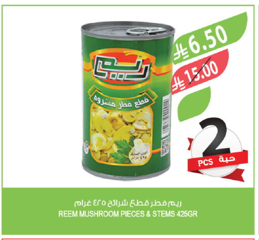 Mushroom available at المزرعة in مملكة العربية السعودية, السعودية, سعودية - الباحة