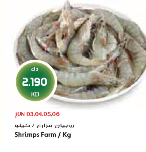 available at Grand Costo in Kuwait - Kuwait City