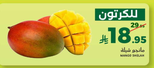 Mango available at ميرا مارت مول in مملكة العربية السعودية, السعودية, سعودية - جدة