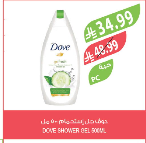 available at المزرعة in مملكة العربية السعودية, السعودية, سعودية - سكاكا