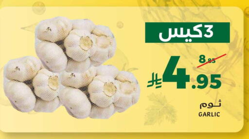 Garlic available at ميرا مارت مول in مملكة العربية السعودية, السعودية, سعودية - جدة