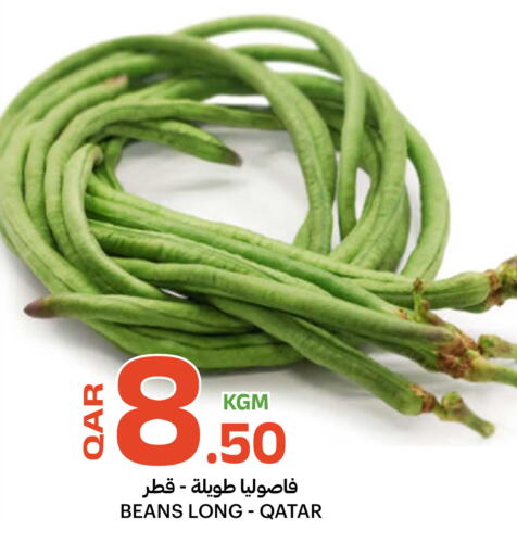 from Qatar available at البلدي اليوم in قطر - الشحانية