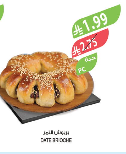 Date available at Farm  in KSA, Saudi Arabia, Saudi - Jazan