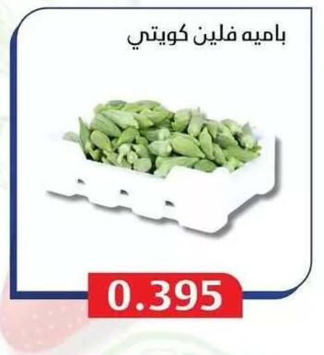 available at Al Masayel co-op  in Kuwait - Jahra Governorate