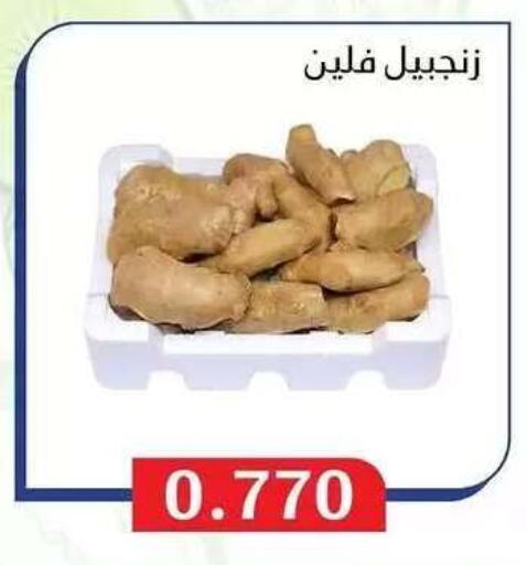 available at Al Masayel co-op  in Kuwait - Jahra Governorate