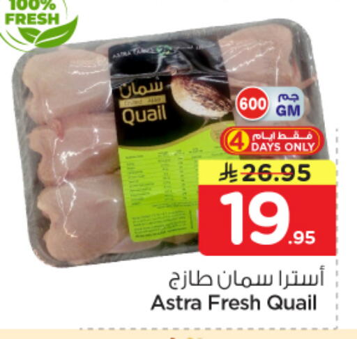 available at نستو in مملكة العربية السعودية, السعودية, سعودية - المجمعة