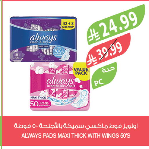 available at المزرعة in مملكة العربية السعودية, السعودية, سعودية - سكاكا