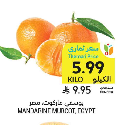 from Egypt available at أسواق التميمي in مملكة العربية السعودية, السعودية, سعودية - عنيزة