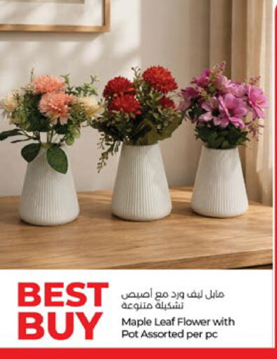 available at لولو هايبرماركت in الإمارات العربية المتحدة , الامارات - أبو ظبي