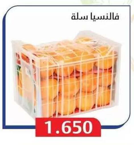available at Al Masayel co-op  in Kuwait - Jahra Governorate