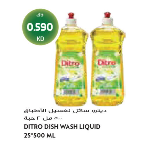 available at Grand Costo in Kuwait - Kuwait City