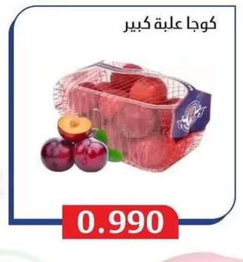 available at Al Masayel co-op  in Kuwait - Jahra Governorate