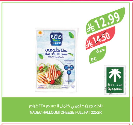 Date available at Farm  in KSA, Saudi Arabia, Saudi - Yanbu