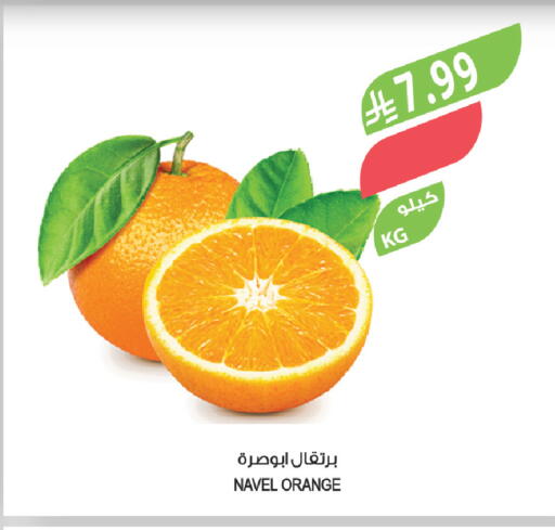 Orange available at المزرعة in مملكة العربية السعودية, السعودية, سعودية - سكاكا