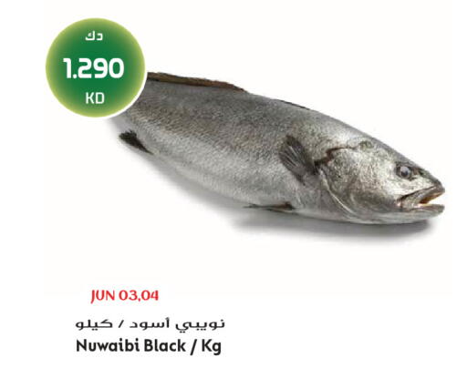 available at جراند هايبر in الكويت - محافظة الجهراء