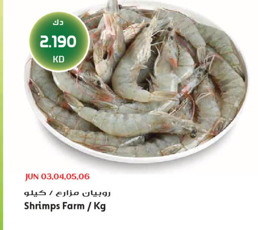 available at جراند هايبر in الكويت - محافظة الجهراء
