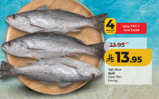 available at LULU Hypermarket in KSA, Saudi Arabia, Saudi - Mecca