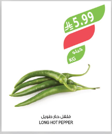 Pepper available at المزرعة in مملكة العربية السعودية, السعودية, سعودية - الباحة