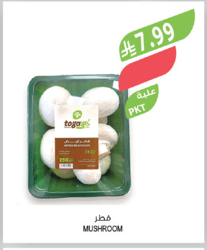 Mushroom available at المزرعة in مملكة العربية السعودية, السعودية, سعودية - الباحة