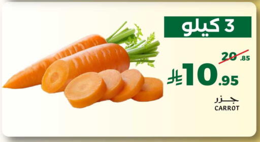 Carrot available at ميرا مارت مول in مملكة العربية السعودية, السعودية, سعودية - جدة
