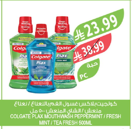 Mint available at المزرعة in مملكة العربية السعودية, السعودية, سعودية - سكاكا