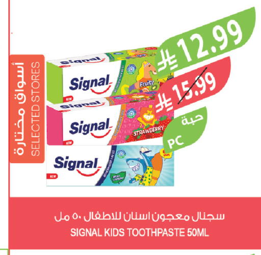 Strawberry available at المزرعة in مملكة العربية السعودية, السعودية, سعودية - سكاكا