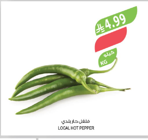 Pepper available at المزرعة in مملكة العربية السعودية, السعودية, سعودية - سكاكا