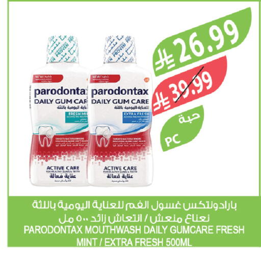 Mint available at المزرعة in مملكة العربية السعودية, السعودية, سعودية - سكاكا