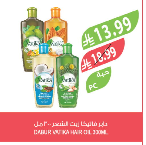Coconut available at المزرعة in مملكة العربية السعودية, السعودية, سعودية - سكاكا