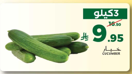 Cucumber available at ميرا مارت مول in مملكة العربية السعودية, السعودية, سعودية - جدة