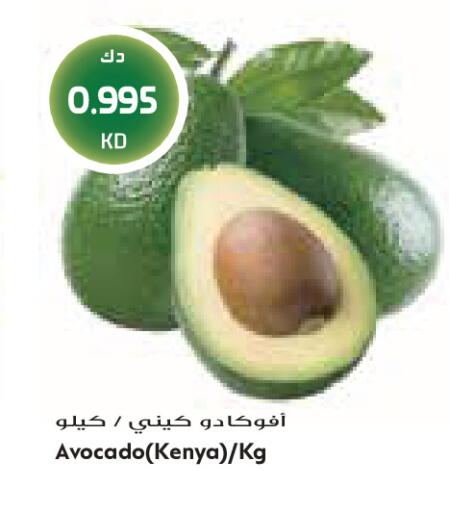 Avocado from Kenya available at جراند كوستو in الكويت - مدينة الكويت