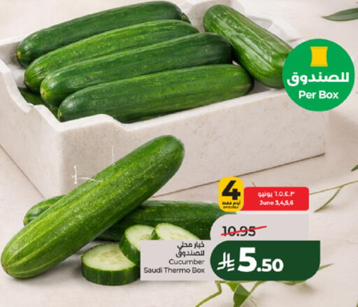 Cucumber from Saudi Arabia available at لولو هايبرماركت in مملكة العربية السعودية, السعودية, سعودية - مكة المكرمة
