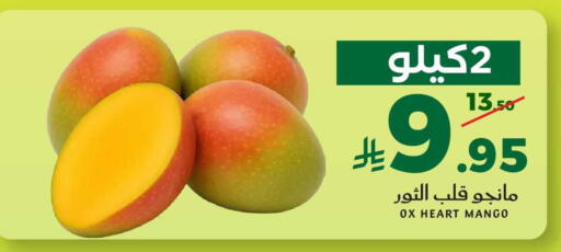 Mango available at ميرا مارت مول in مملكة العربية السعودية, السعودية, سعودية - جدة