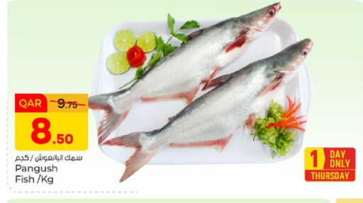 available at باريس هايبرماركت in قطر - الدوحة