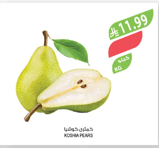 available at المزرعة in مملكة العربية السعودية, السعودية, سعودية - الباحة