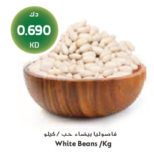 available at Grand Costo in Kuwait - Kuwait City