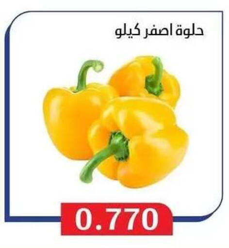 available at Al Masayel co-op  in Kuwait - Jahra Governorate