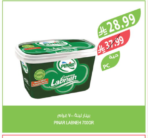 available at المزرعة in مملكة العربية السعودية, السعودية, سعودية - الباحة
