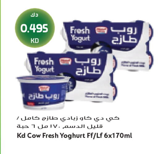 available at جراند كوستو in الكويت - مدينة الكويت