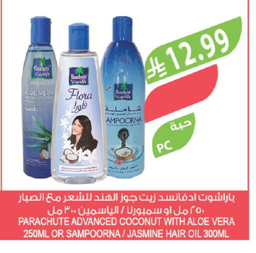 Coconut available at المزرعة in مملكة العربية السعودية, السعودية, سعودية - سكاكا
