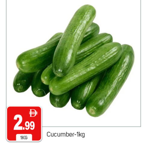 Cucumber available at سوق طلال in الإمارات العربية المتحدة , الامارات - دبي