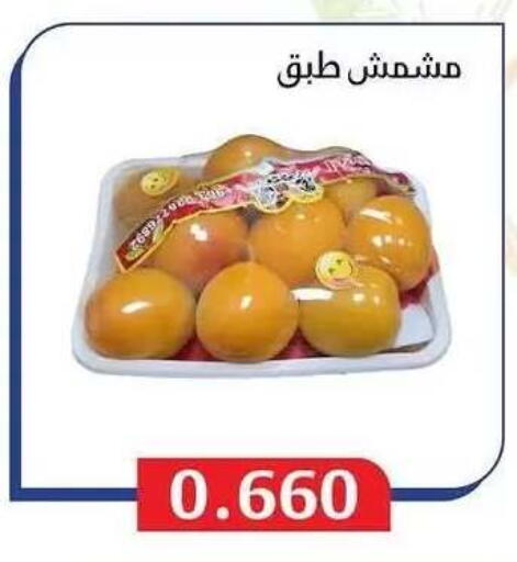available at Al Masayel co-op  in Kuwait - Jahra Governorate