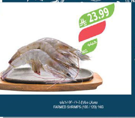 available at Farm  in KSA, Saudi Arabia, Saudi - Abha