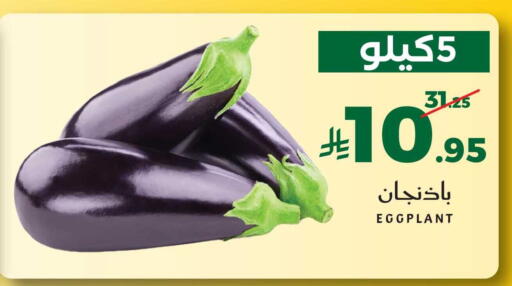 Eggplant available at ميرا مارت مول in مملكة العربية السعودية, السعودية, سعودية - جدة