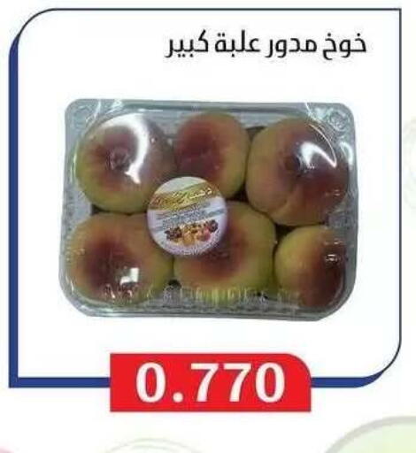 available at Al Masayel co-op  in Kuwait - Jahra Governorate