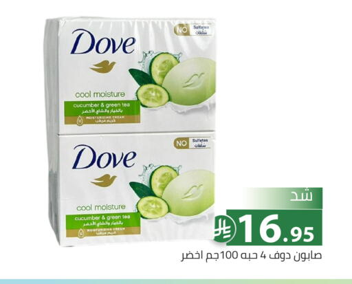 Cucumber available at تخفيضات العائلة in مملكة العربية السعودية, السعودية, سعودية - الرياض