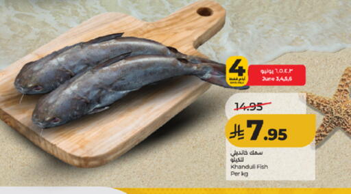 available at LULU Hypermarket in KSA, Saudi Arabia, Saudi - Mecca