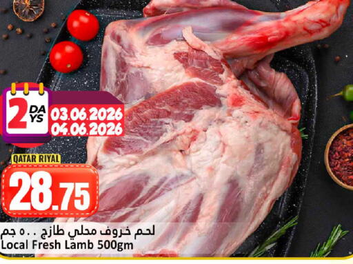 available at دانة هايبرماركت in قطر - الريان
